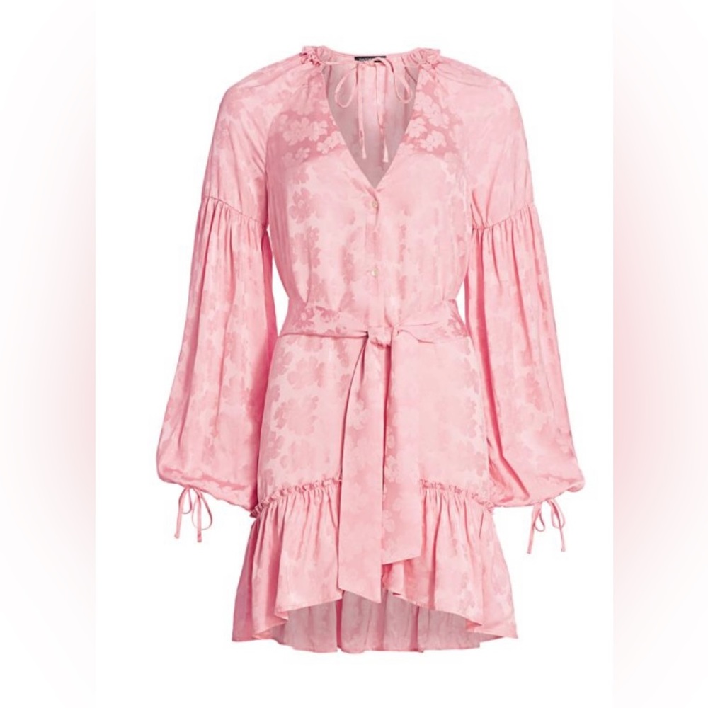 NO BELT Wandering Pink Silk Tunic Dress, MSRP $920, size 44